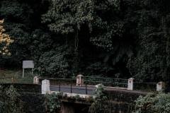 Estrada da Graciosa  - Foto: Mateus Maia