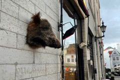 WhatsApp-Image-2022-10-11-at-12.52.36