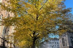 WhatsApp-Image-2022-10-12-at-07.48.45